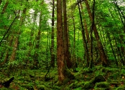 雷火电竞入驻-舆论的冰火两劫，抢七之夜，戈贝尔用沉默的回击让所有质疑者失语