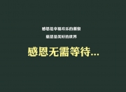雷火电竞下载-魔笛的绝响，2026，当非洲雄鹰撕碎东欧铁骑，谁来为黄金一代的黄昏献上挽歌？