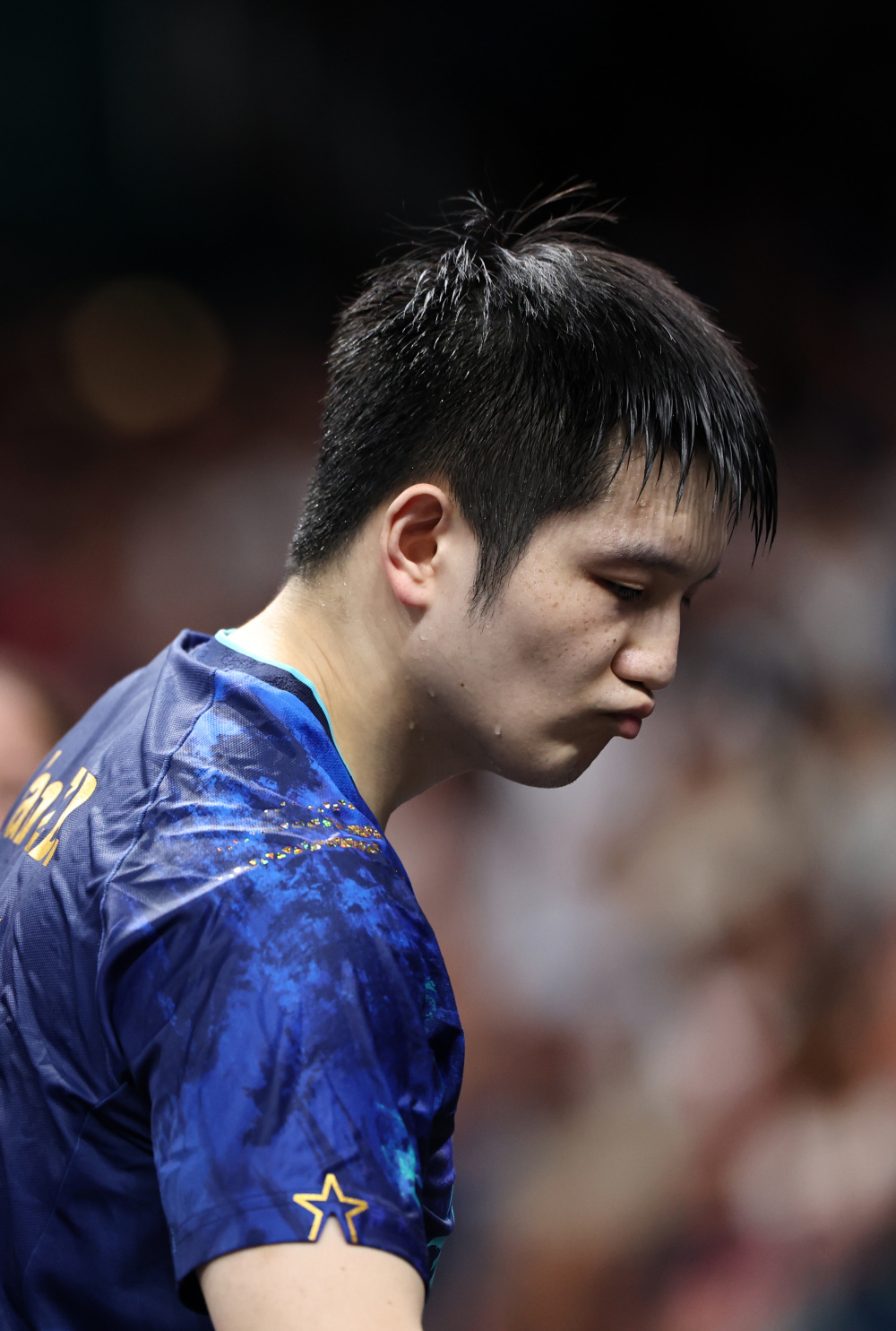 关于波兰乒乓球队轻取英国乒乓球队,樊振东高光表现的信息 关于波兰乒乓球队轻取英国乒乓球队,樊振东高光表现的信息