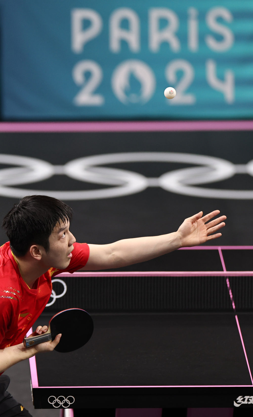 关于波兰乒乓球队轻取英国乒乓球队,樊振东高光表现的信息 关于波兰乒乓球队轻取英国乒乓球队,樊振东高光表现的信息