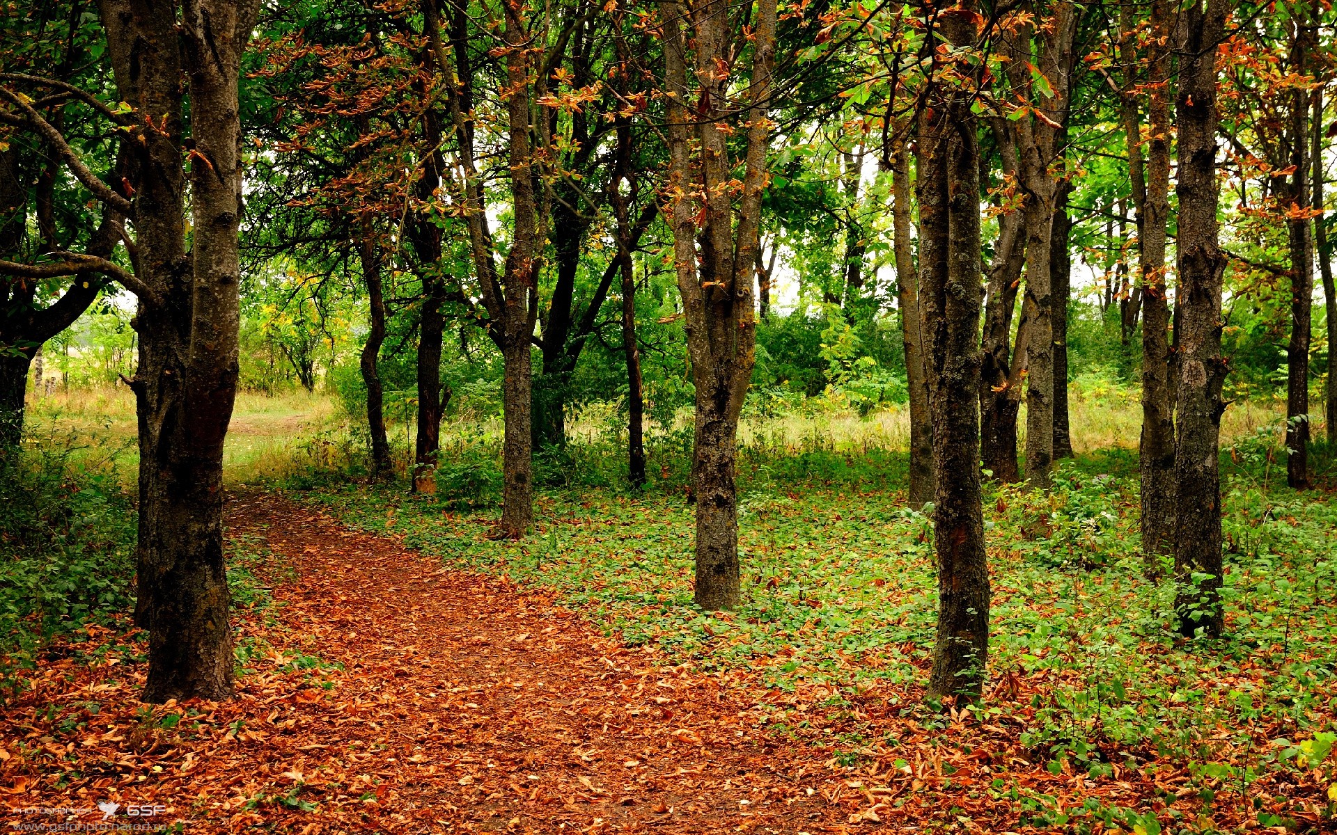 慈善世纪战，国米主场迎战巴拉圭联队，莱万戴帽诠释硬仗之王本色