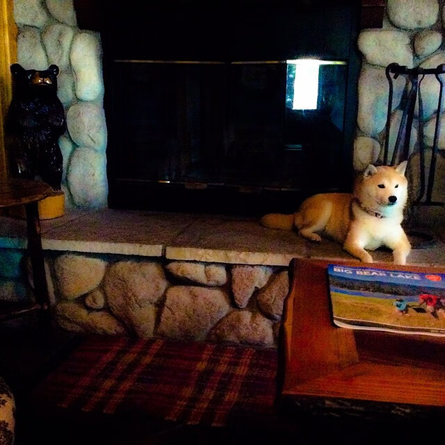 数据爆炸背后，当广东铁血防守遇上新疆武切维奇，CBA顶级内线战的唯一性启示