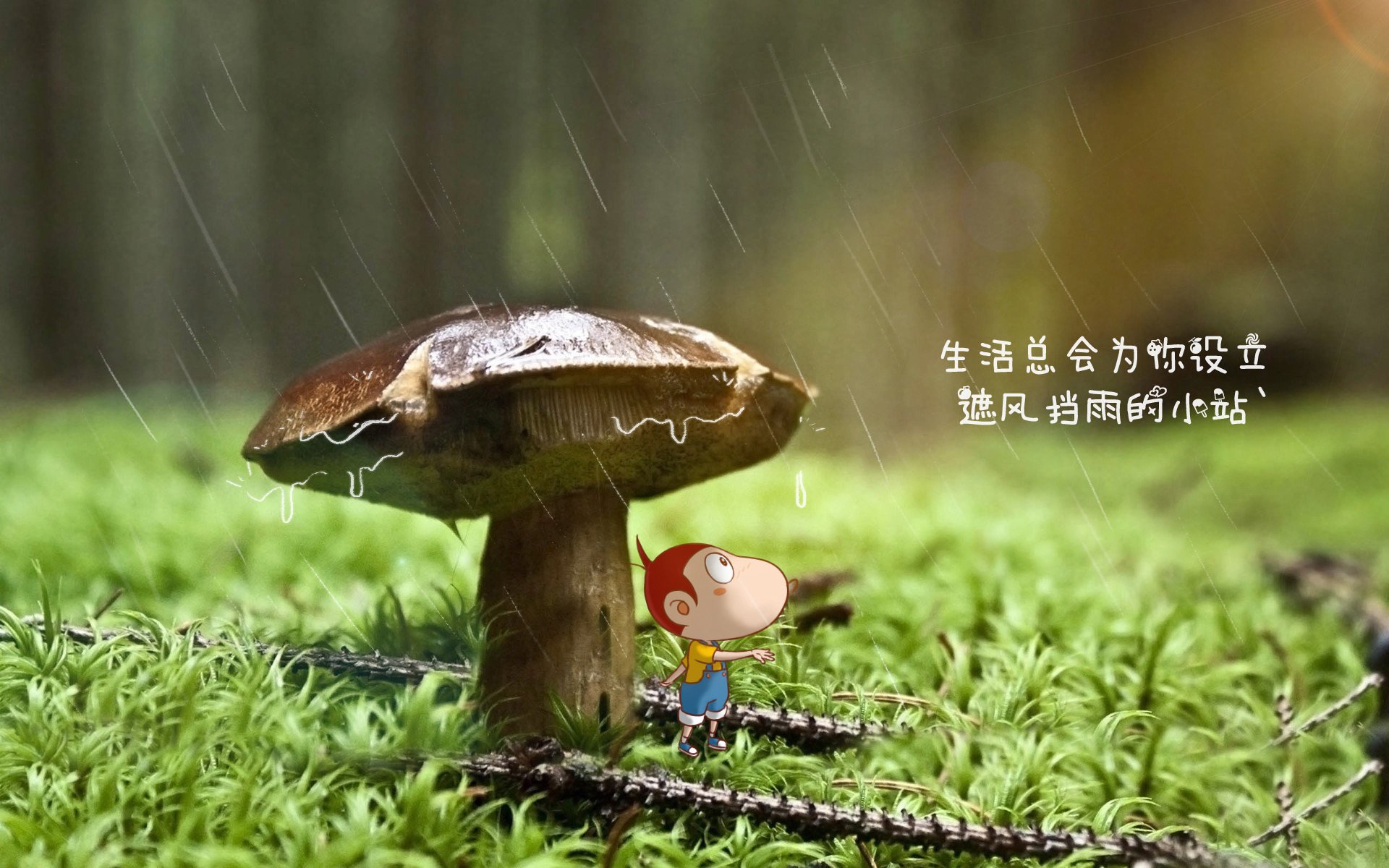 当欧洲红魔撕裂亚平宁之盾,劳塔罗死神的镰刀,如何在比利时巨浪中定下乾坤